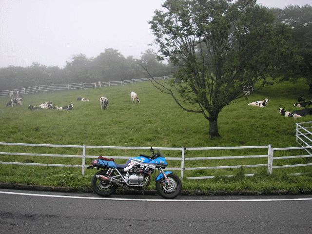 d0115409_2326639.gif