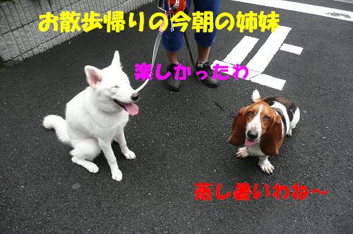 f0121712_16221441.jpg