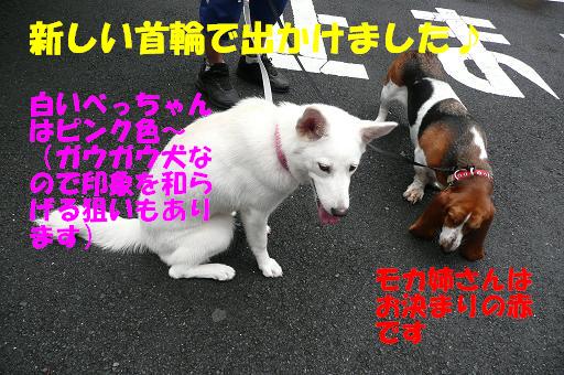 f0121712_16222731.jpg