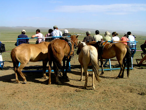 モンゴル ナーダム3 競馬競技_e0048413_2059751.jpg