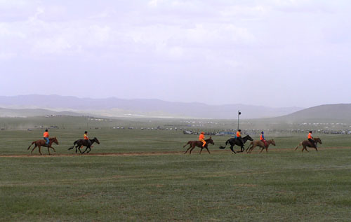 モンゴル ナーダム3 競馬競技_e0048413_210761.jpg