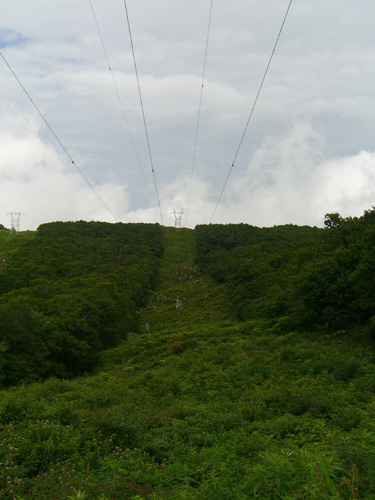Animal_f0137626_21461231.jpg