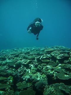 母と娘の二人旅。　　3日目（西表島）_c0111530_230317.jpg