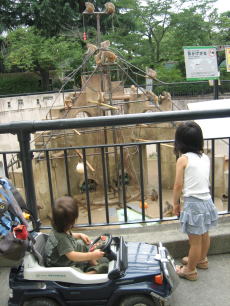 c0113733_22573574.jpg