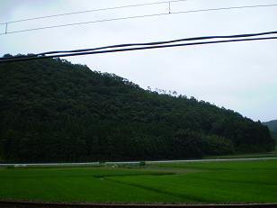 d0098335_2114468.jpg
