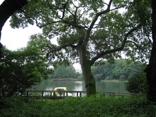 e0009547_21123864.jpg