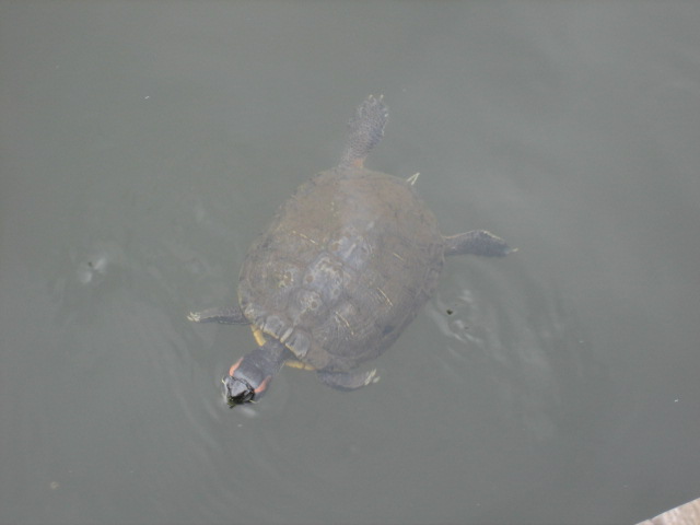 e0009547_21135166.jpg