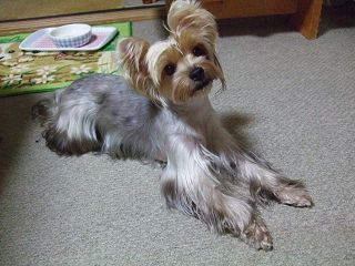 e0120072_2225672.jpg