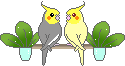 e0027078_17393779.gif