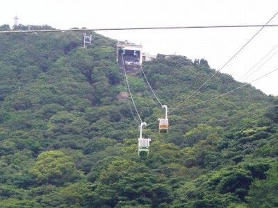 c0078480_1604496.jpg