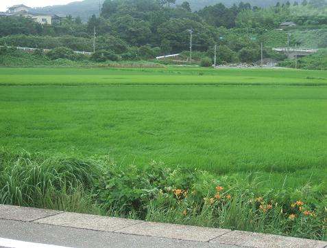 初体験☆輪島の朝市_f0039187_20545457.jpg