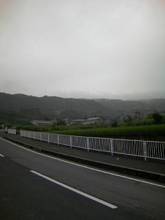 f0110391_84011.jpg