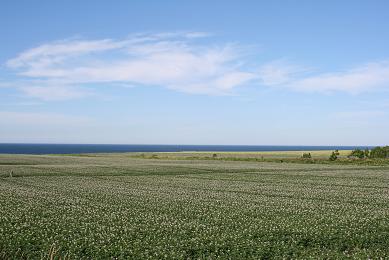 d0025894_23471996.jpg