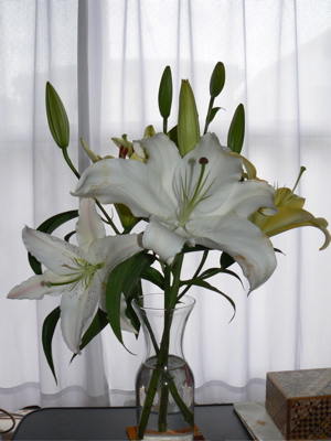 f0006509_0312948.jpg