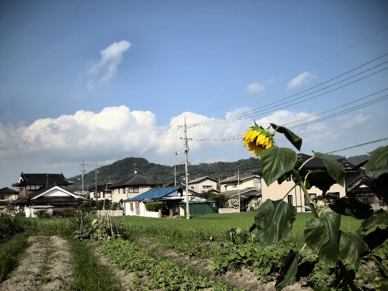 b0057612_2375136.jpg