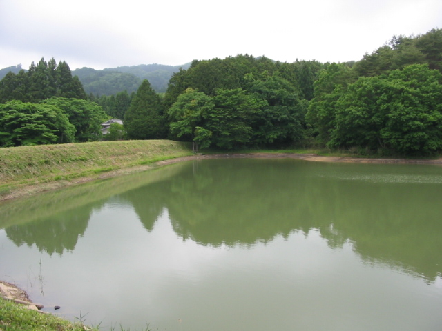 f0143119_2145525.jpg