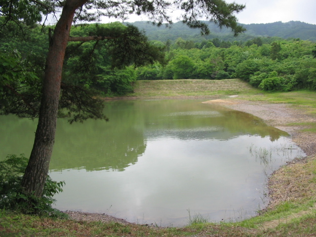 f0143119_2162339.jpg