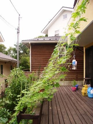 d0083523_2318477.jpg