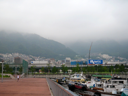d0017632_19501154.jpg