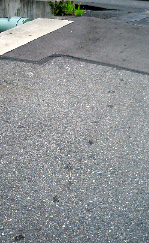 d0017632_20454592.jpg