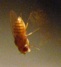 d0047851_8471018.jpg