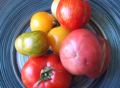 Heirloom tomato_b0069365_430183.jpg