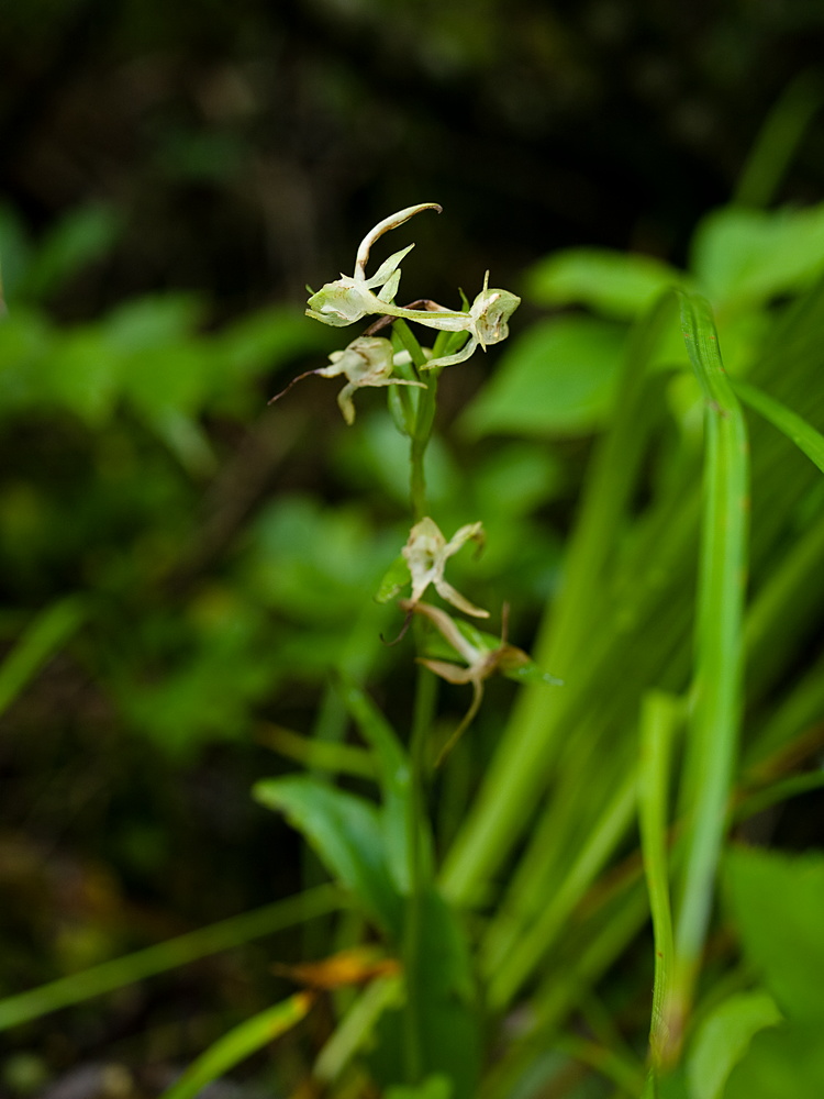 e0015567_1854651.jpg