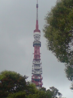 アササン_c0009877_16263954.jpg