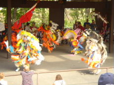 e0090591_16582.jpg