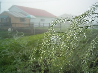f0032403_1421167.jpg