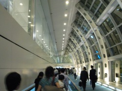 ヒラメキとの遭遇!_d0091909_16351791.jpg