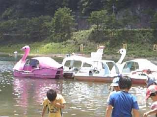 f0006510_21315480.jpg