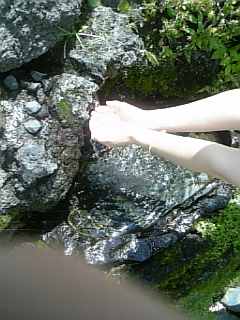 f0006510_21365822.jpg