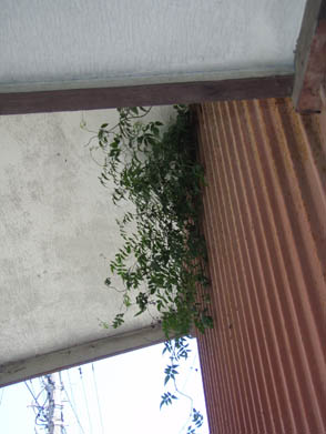b0117718_1231542.jpg