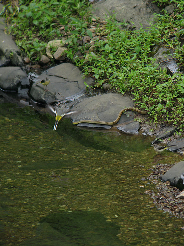f0003418_2055180.jpg