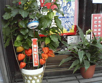 a0098635_18154011.jpg