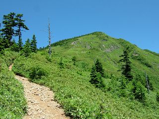 岩菅山～赤石山～大沼池　1/2_a0023246_22285250.jpg