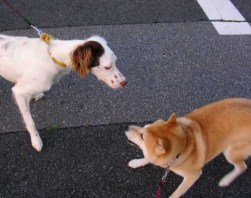 7月24日(火)・・・バトンデビュー!_f0060461_1055328.jpg