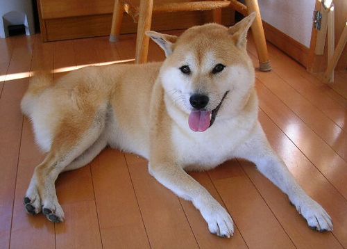 7月24日(火)・・・バトンデビュー!_f0060461_1181552.jpg