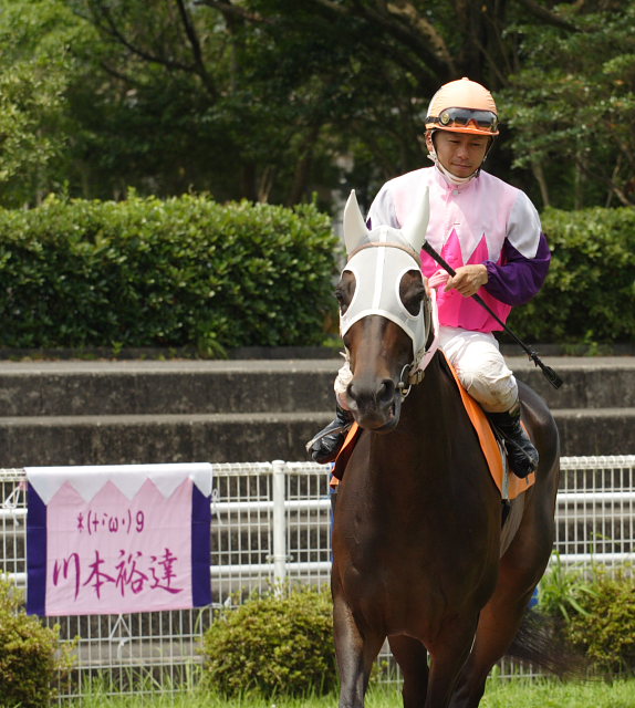 川本裕達騎手、高知競馬初勝利～_a0077663_18224933.jpg