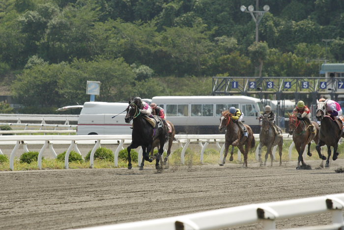 川本裕達騎手、高知競馬初勝利～_a0077663_18232082.jpg