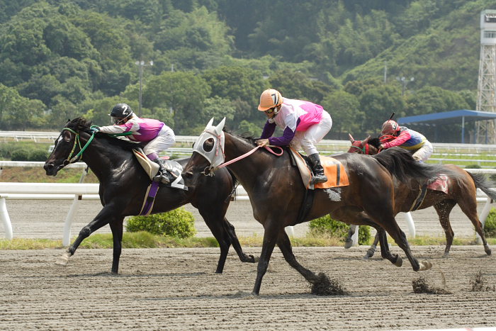 川本裕達騎手、高知競馬初勝利～_a0077663_18233852.jpg