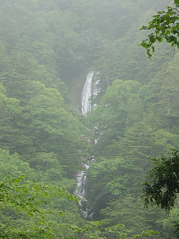 f0008679_45993.jpg