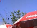 b0054391_751280.jpg