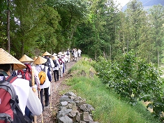 高野山お礼参り（慈尊院～六本杉まで）_e0043591_18223461.jpg