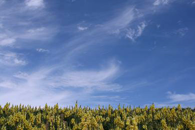 d0025894_23385976.jpg