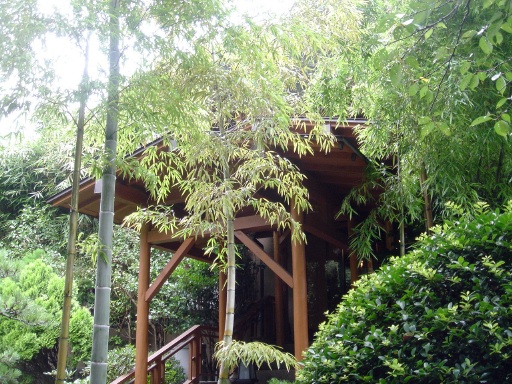 e0126094_18353.jpg