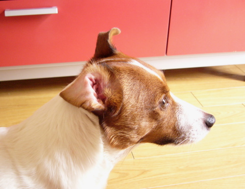 f0146198_156465.jpg