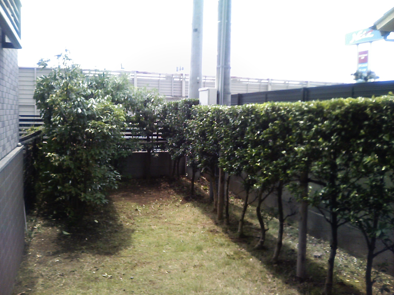 今日はなんと・・・。_f0108604_17403939.jpg