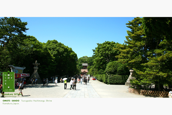 鎌倉シルビアン　28　　　　　鶴岡八幡宮　表参道　西行と頼朝_f0038408_1713257.jpg